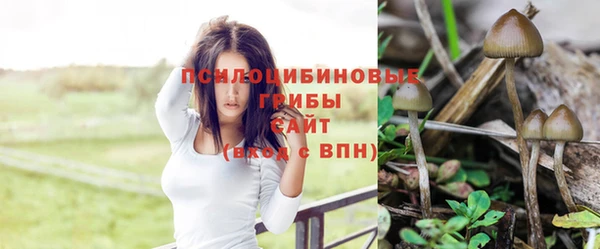 дмт Бронницы