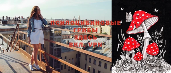 каннабис Бородино
