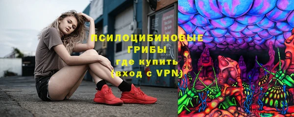 дмт Бронницы