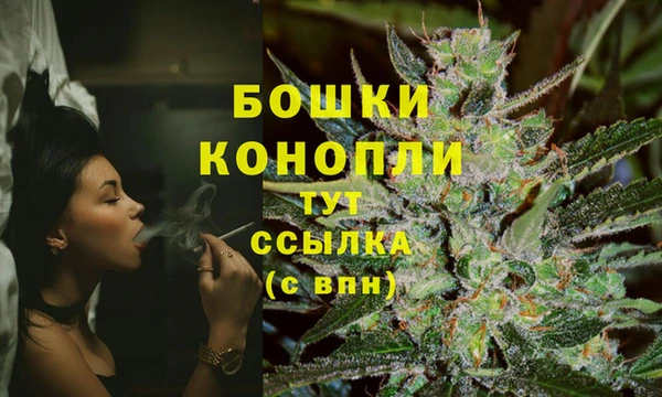 дмт Бронницы