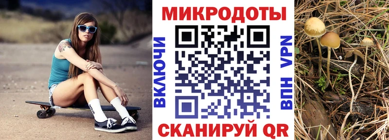 Купить закладки  Камызяк  Псилоцибиновые грибы Psilocybine cubensis 